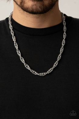 extra-entrepreneur-silver